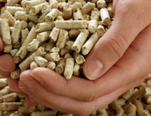 Pellet: Beneficios y Usos Durante Todo el Año